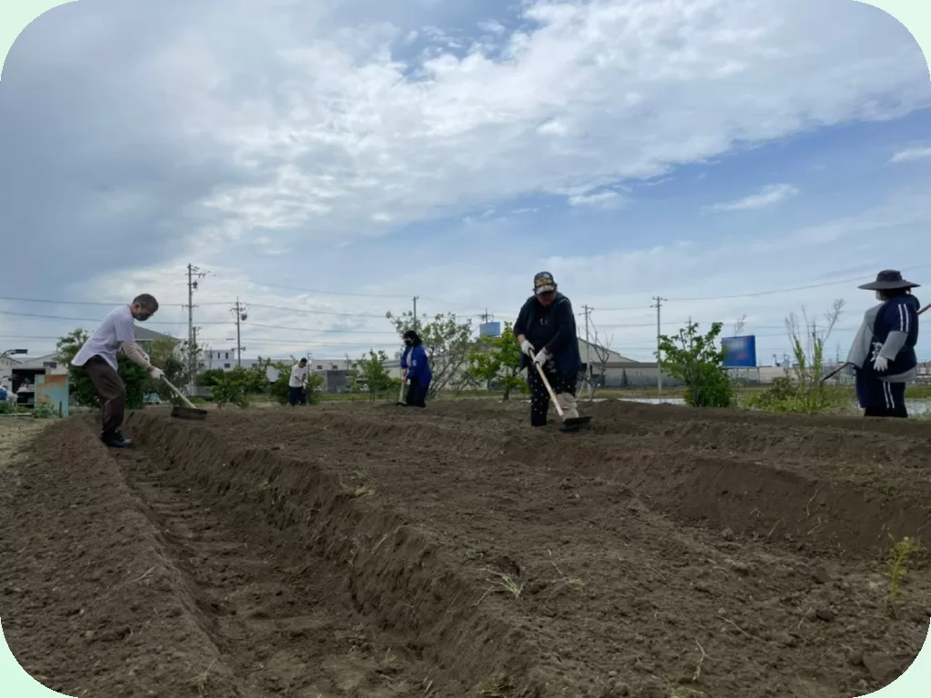 hatake_image(Squircle)(green1)