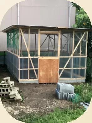 niwatori_koya(right)(294x392)(Squircle)(beige5)