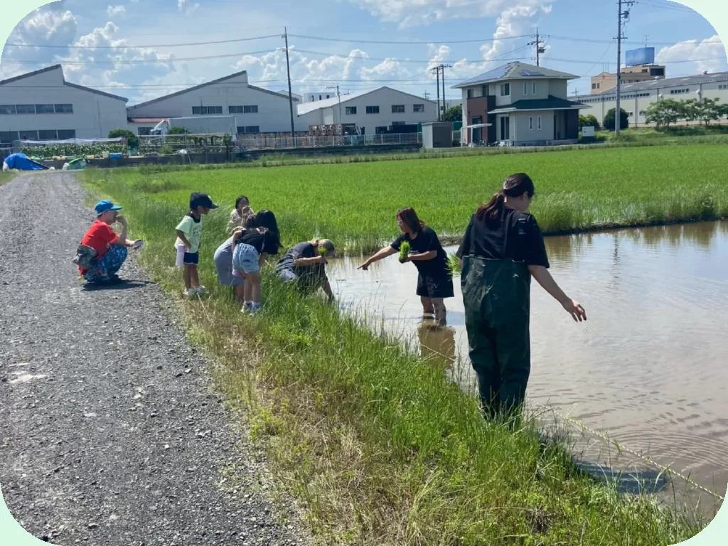 ta_ue_te_sagyou(Squircle)(green1)