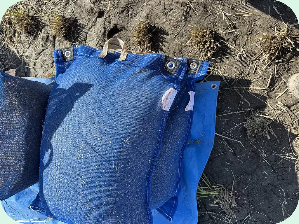 1770264220070(1024x768)_round